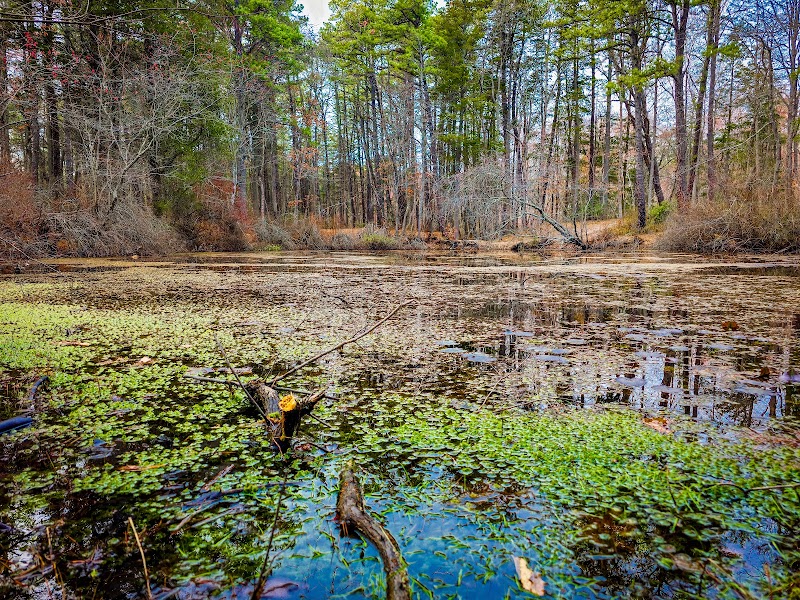 Blue Hole - Hammonton, NJ