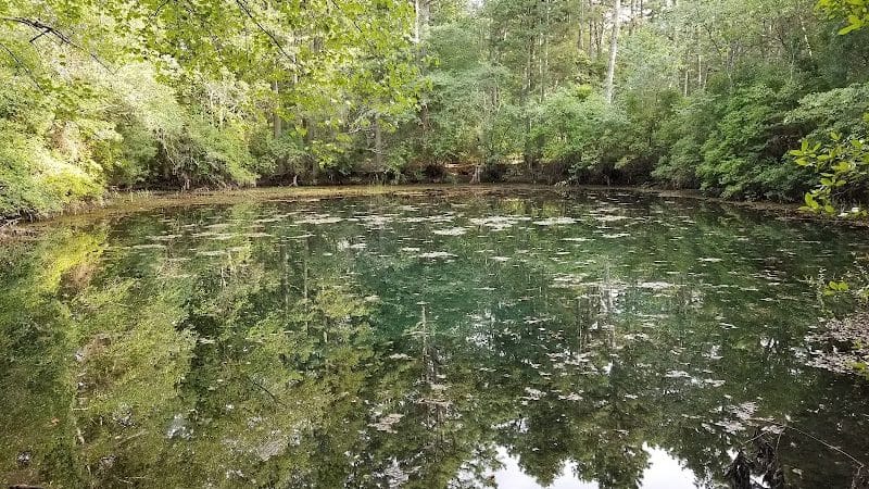 Winslow Fish and Wildlife Management Area - Hammonton, NJ