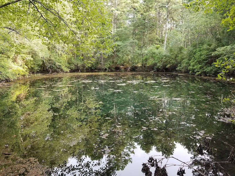 Winslow Fish and Wildlife Management Area - Hammonton, NJ