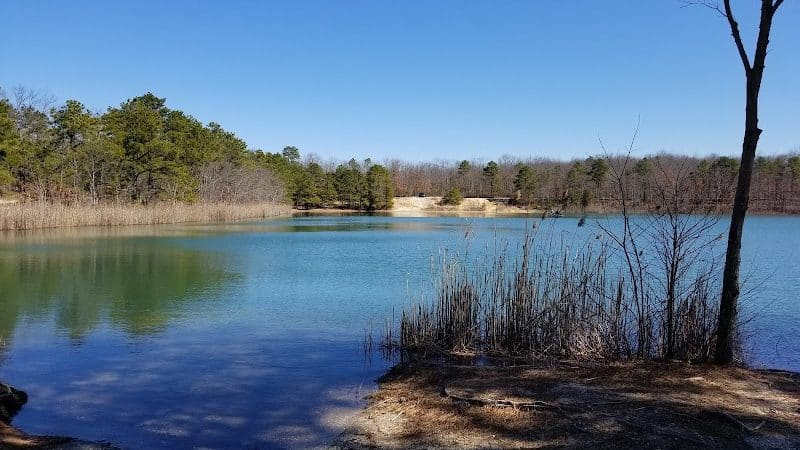 Winslow Fish and Wildlife Management Area - Hammonton, NJ