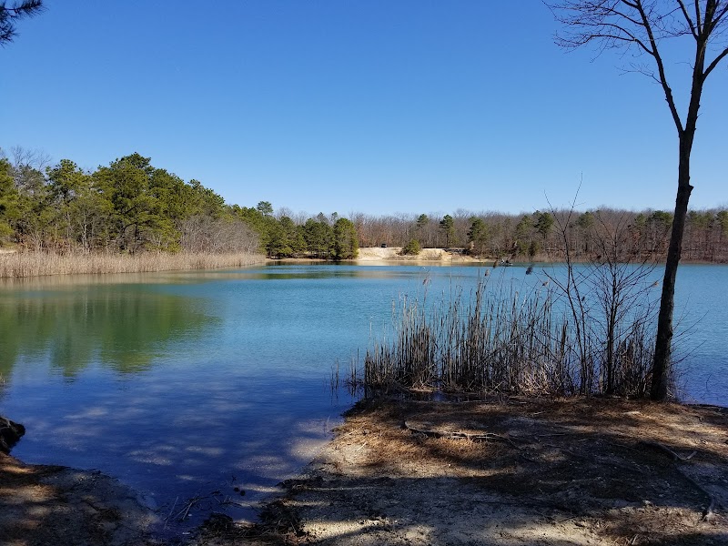 Winslow Fish and Wildlife Management Area - Hammonton, NJ