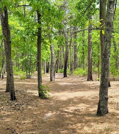 Winslow Fish and Wildlife Management Area - Hammonton, NJ