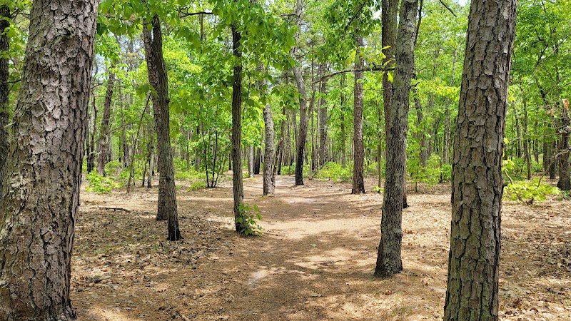 Winslow Fish and Wildlife Management Area - Hammonton, NJ