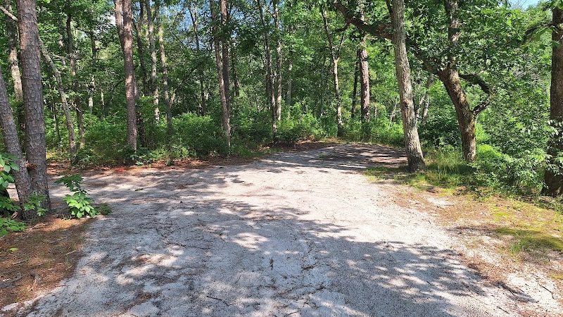 Winslow Fish and Wildlife Management Area - Hammonton, NJ