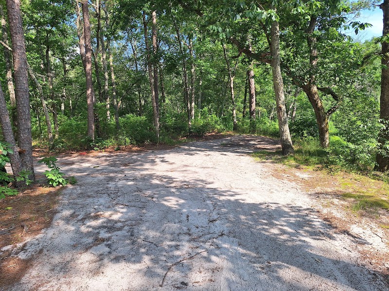 Winslow Fish and Wildlife Management Area - Hammonton, NJ