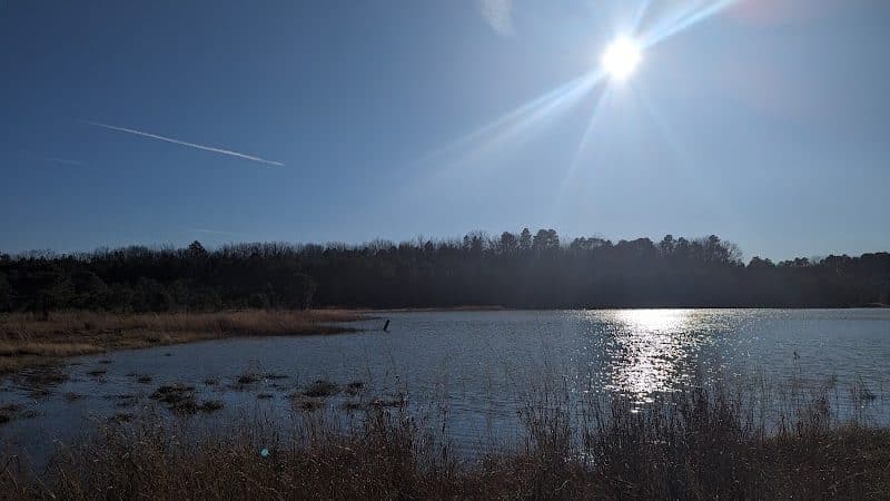 Winslow Fish and Wildlife Management Area - Hammonton, NJ
