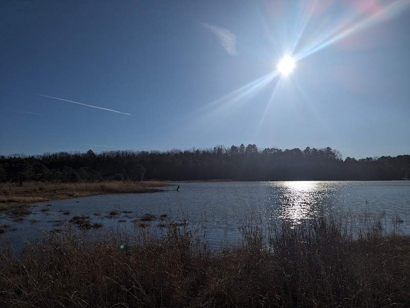 Winslow Fish and Wildlife Management Area - Hammonton, NJ