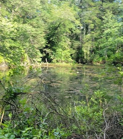 Winslow Fish and Wildlife Management Area - Hammonton, NJ