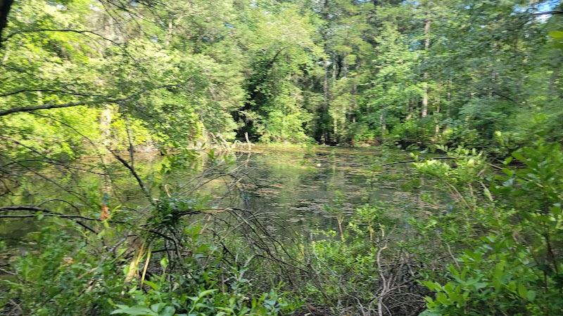 Winslow Fish and Wildlife Management Area - Hammonton, NJ