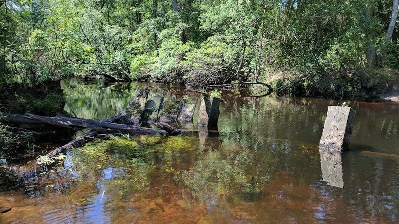 Winslow Fish and Wildlife Management Area - Hammonton, NJ