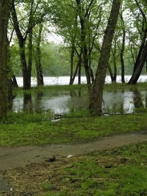 Empire Park
