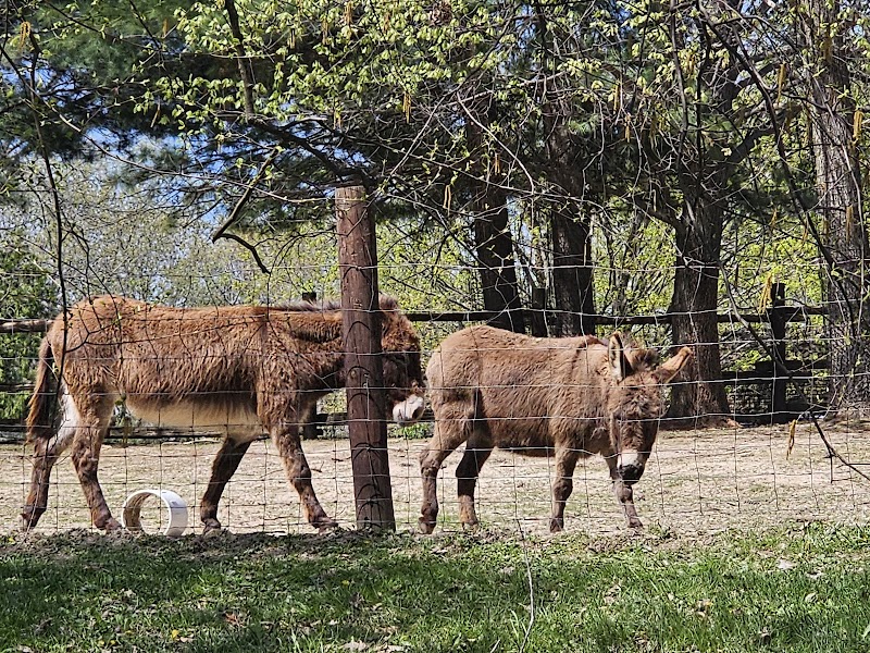 Wildlife Prairie Park - Hanna City, IL