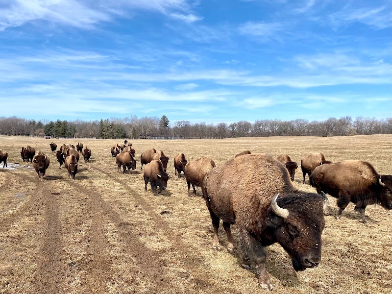Wildlife Prairie Park - Hanna City, IL