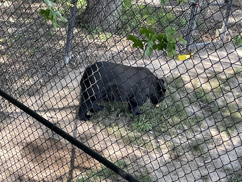 Wildlife Prairie Park - Hanna City, IL