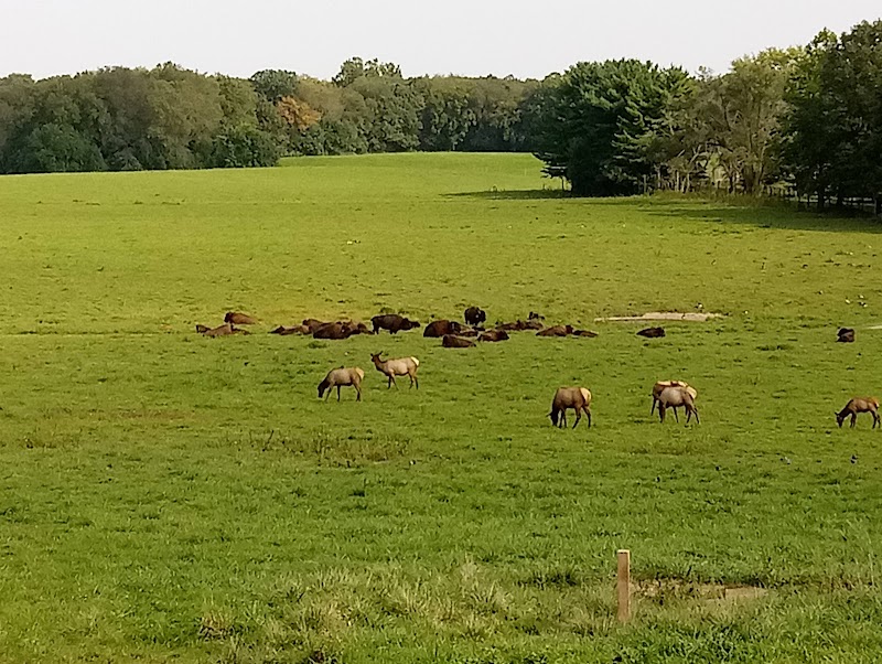 Wildlife Prairie Park - Hanna City, IL