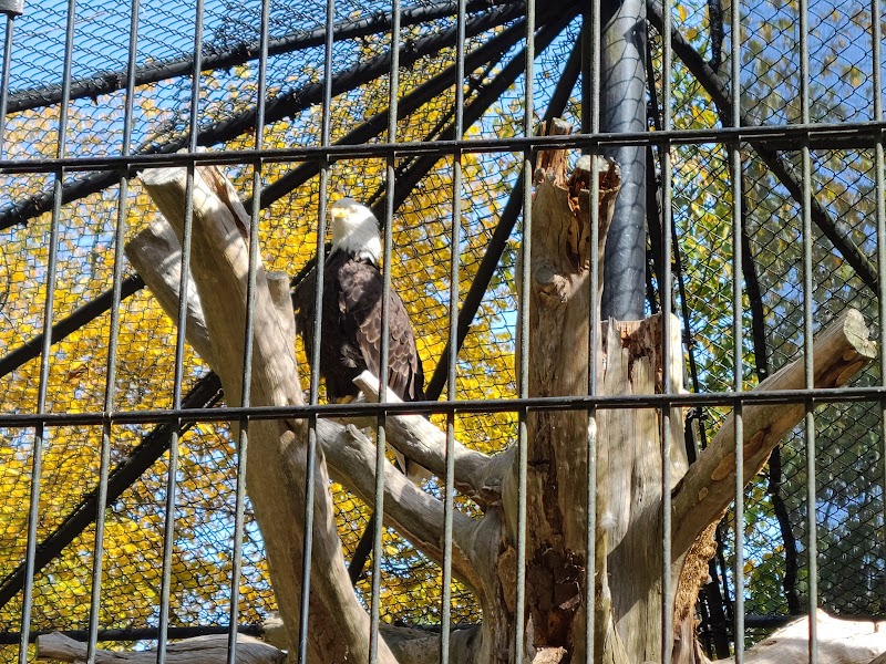 Wildlife Prairie Park - Hanna City, IL