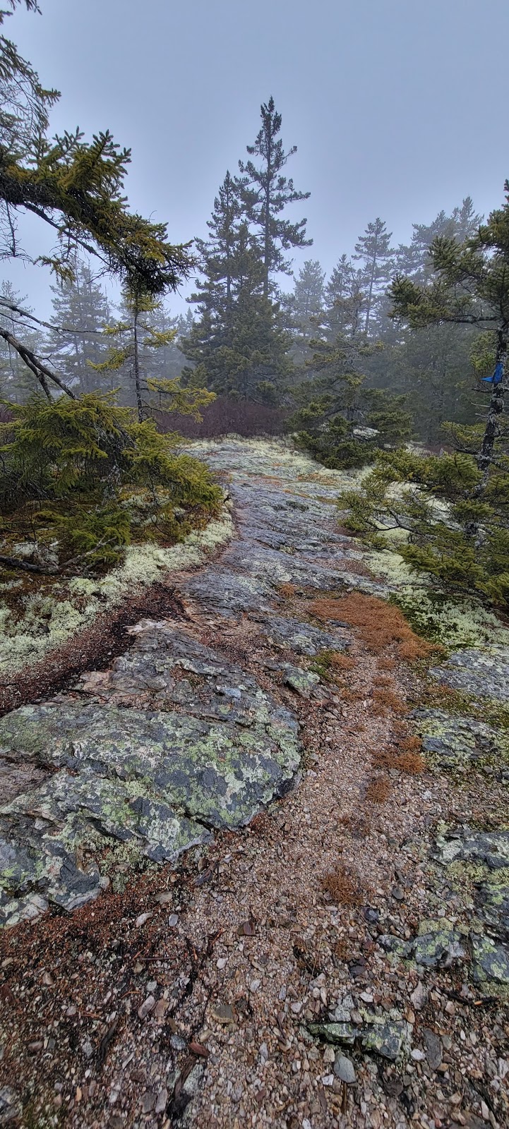 John B. Mountain - Blue Hill Heritage Trust - Harborside, ME