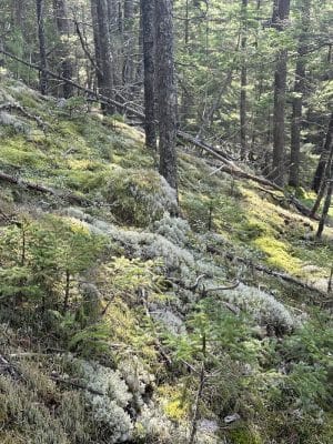 John B. Mountain - Blue Hill Heritage Trust