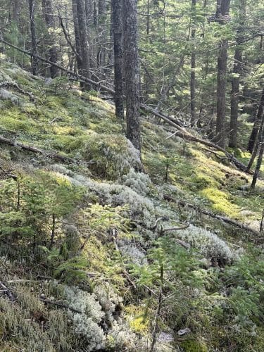 John B. Mountain - Blue Hill Heritage Trust