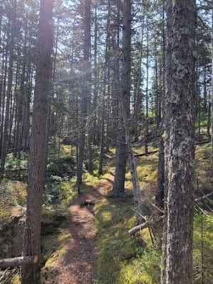 John B. Mountain - Blue Hill Heritage Trust