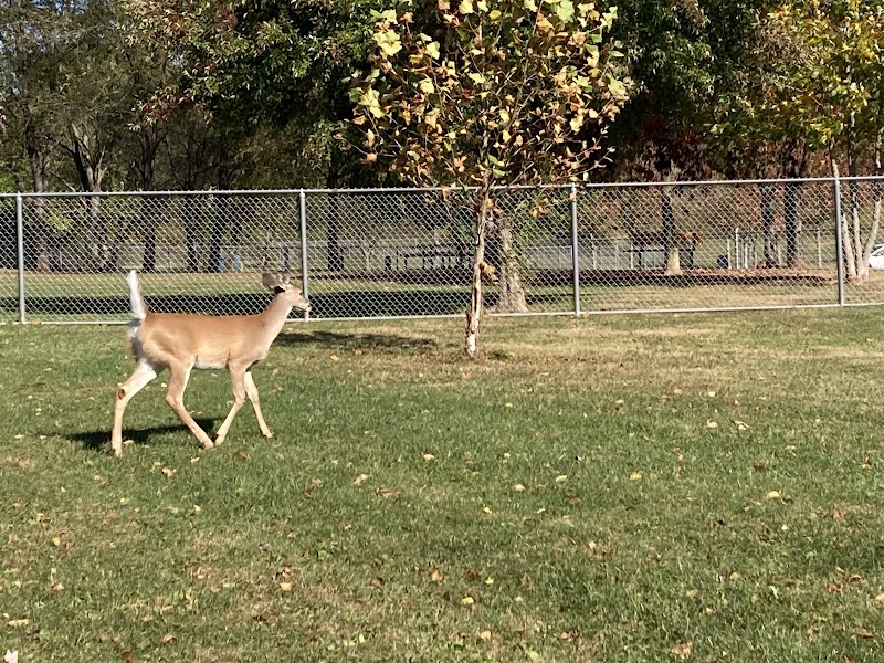 Penn Township Municipal Park Walking Trails - Harrison City, PA