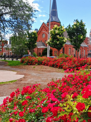 Barnard Park