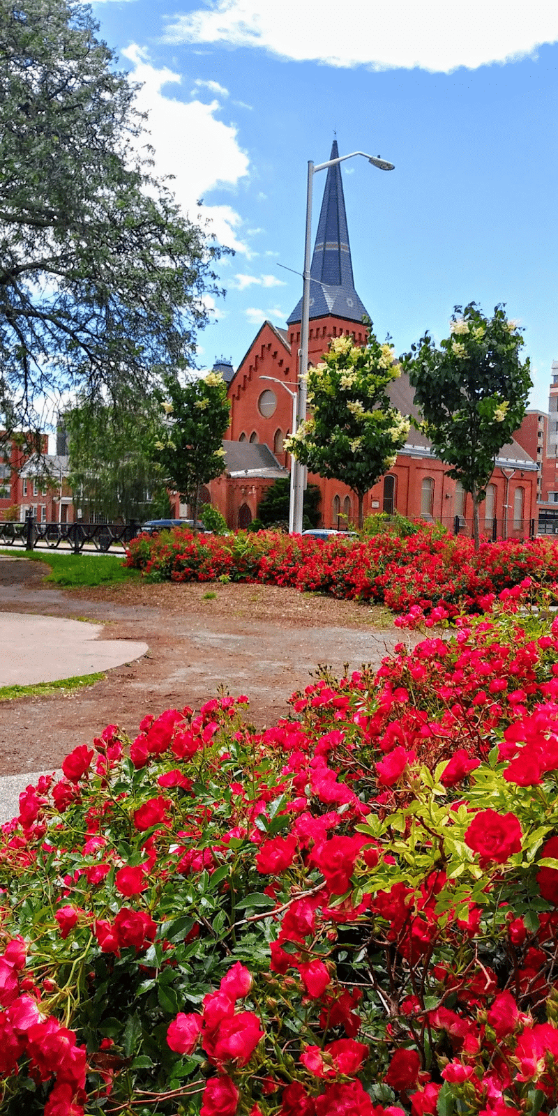 Barnard Park - Hartford, CT