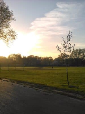 Colt Park