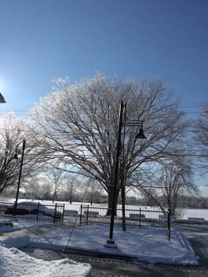 Colt Park