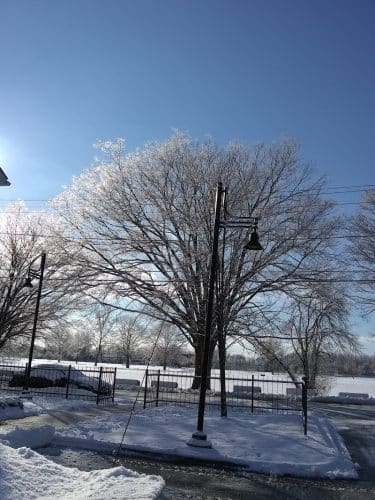 Colt Park