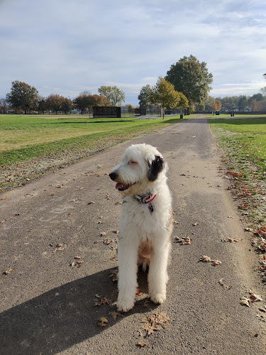 Colt Park