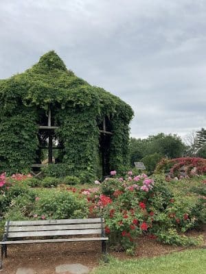 Elizabeth Park Rose Garden