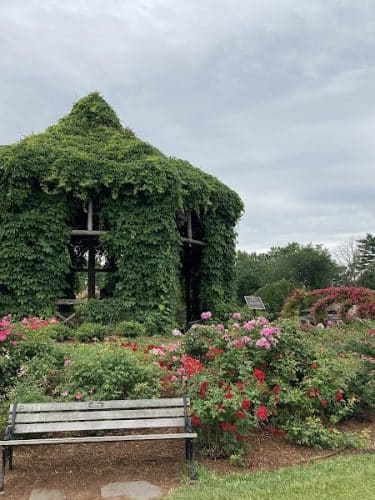 Elizabeth Park Rose Garden