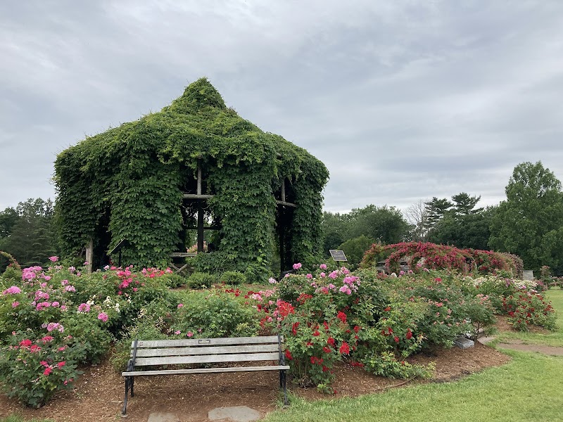 Elizabeth Park Rose Garden - Hartford, CT