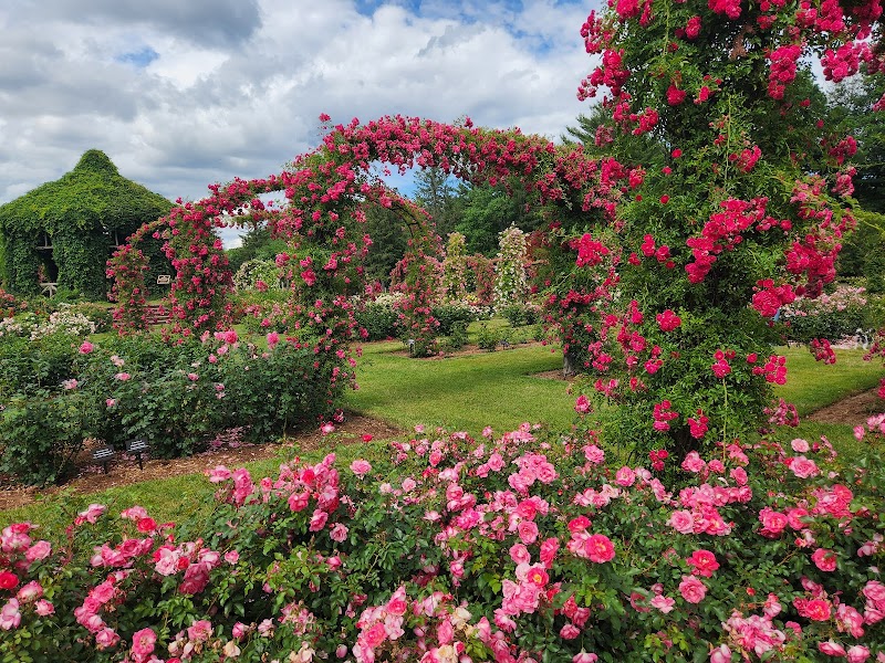 Elizabeth Park Rose Garden - Hartford, CT