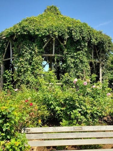 Elizabeth Park Rose Garden