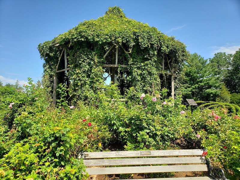 Elizabeth Park Rose Garden - Hartford, CT