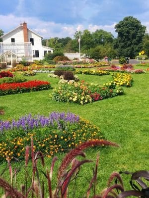 Elizabeth Park Rose Garden