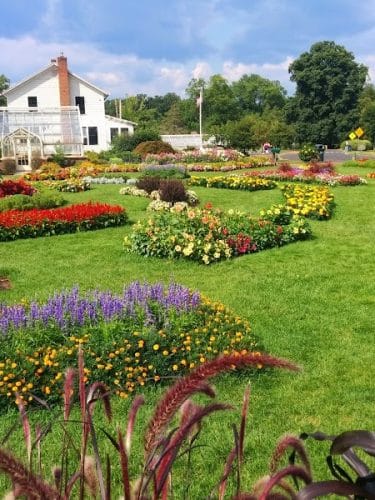 Elizabeth Park Rose Garden