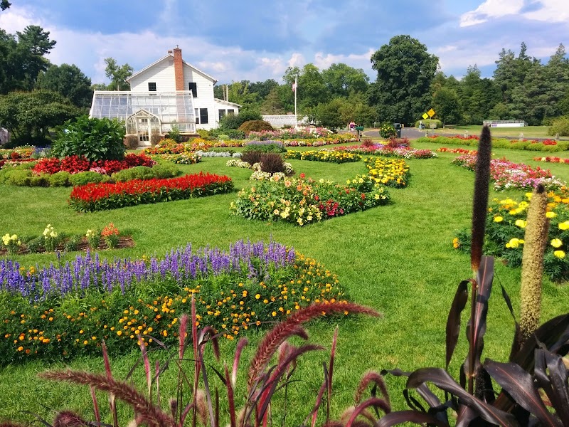 Elizabeth Park Rose Garden - Hartford, CT