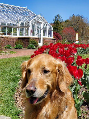 Elizabeth Park Rose Garden