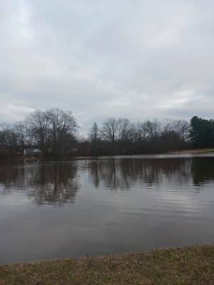 Goodwin Park Pond