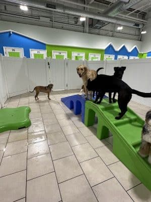 Hounds Town Hartford