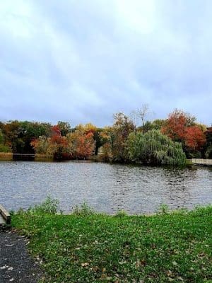 Keney Park Woodland Entrance