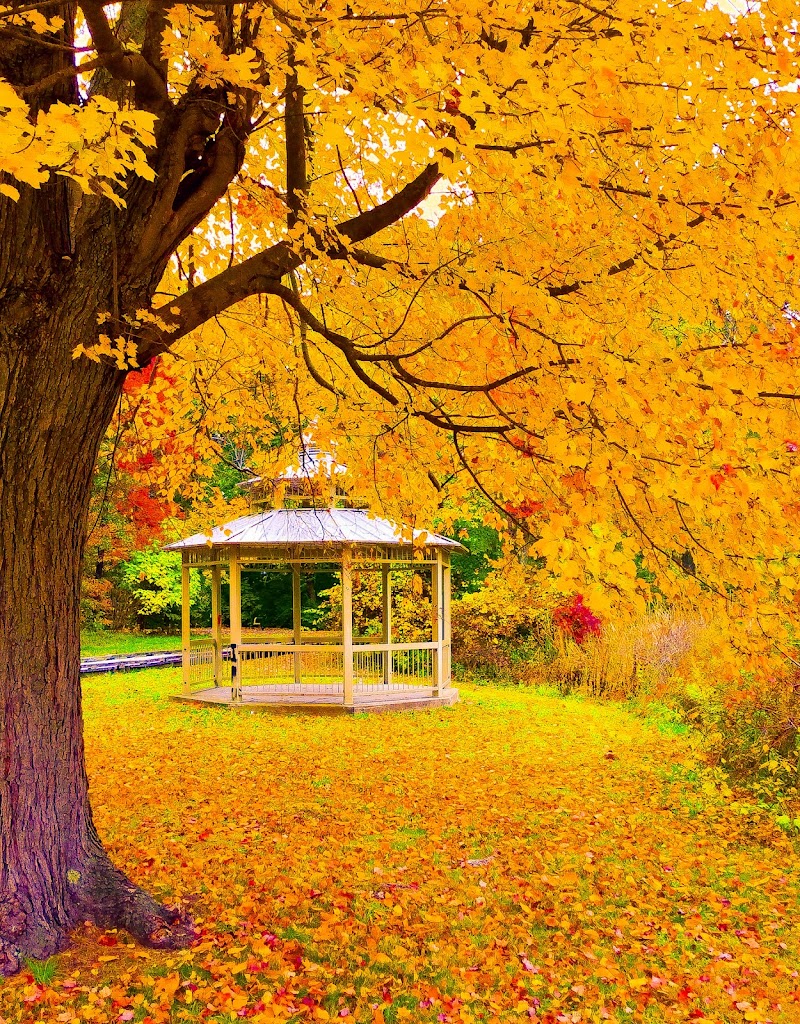 Keney Park Woodland Entrance - Hartford, CT
