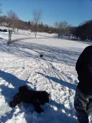 West Hartford Parks
