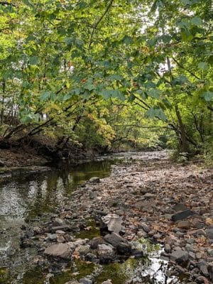 West Hartford Parks