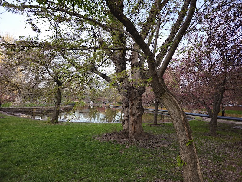 Bushnell Park - Hartford, CT