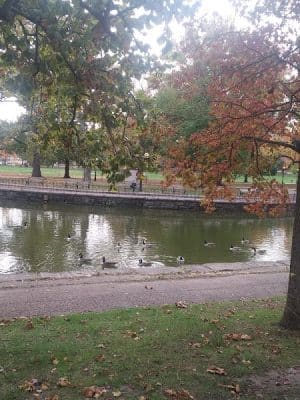 Bushnell Park