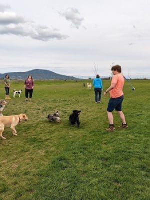 Pawfoot Dog Park
